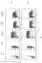 Fig. 02 - Protein-based T-cell receptor knockdown