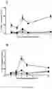 Fig. 53 - ANTIBODIES TO ICOS