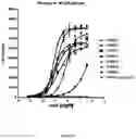 Fig. 72 - ANTIBODIES TO ICOS