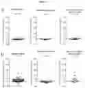 Fig. 04 - ADAMTS binding immunoglobulins