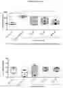 Fig. 07 - ADAMTS binding immunoglobulins