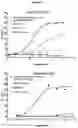 Fig. 27 - Optimized antibodies that target CD19