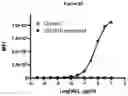 Fig. 30 - Optimized antibodies that target CD19