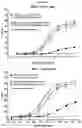 Fig. 34 - Optimized antibodies that target CD19