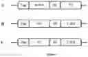 Fig. 02 - Split superantigens and their use for immunotherapy