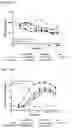 Fig. 64 - Heterodimeric antibodies that bind ENPP3 and CD3