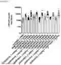 Fig. 90 - Heterodimeric antibodies that bind ENPP3 and CD3
