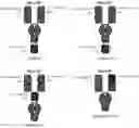 Fig. 99 - Heterodimeric antibodies that bind ENPP3 and CD3