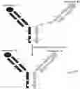 Fig. 01 - METHOD FOR EXPRESSING AND PREPARING POLYVALENT MULTI-SPECIFIC ANTIBODY AND IMMUNE HYBRID PROTEIN