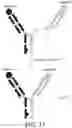 Fig. 08 - METHOD FOR EXPRESSING AND PREPARING POLYVALENT MULTI-SPECIFIC ANTIBODY AND IMMUNE HYBRID PROTEIN