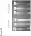 Fig. 06 - Assembly of bispecific antibodies