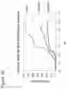 Fig. 07 - Assembly of bispecific antibodies