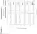 Fig. 08 - Assembly of bispecific antibodies