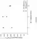 Fig. 09 - SOLID SUPPORT MATERIAL