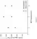 Fig. 12 - SOLID SUPPORT MATERIAL