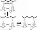 Fig. 01 - Polymer compound and method for manipulating cell using same
