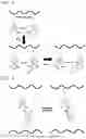 Fig. 02 - Polymer compound and method for manipulating cell using same
