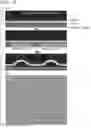 Fig. 10 - Polymer compound and method for manipulating cell using same