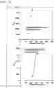 Fig. 19 - Polymer compound and method for manipulating cell using same