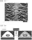 Fig. 33 - Polymer compound and method for manipulating cell using same