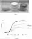 Fig. 02 - Surfactant-free filled polyurethane foam and method of making same