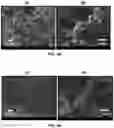 Fig. 05 - CURABLE POLYMER RESINS FOR 3D-PRINTABLE HIERARCHICAL NANOPOROUS FOAMS AND AEROGELS