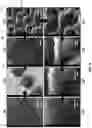 Fig. 06 - CURABLE POLYMER RESINS FOR 3D-PRINTABLE HIERARCHICAL NANOPOROUS FOAMS AND AEROGELS