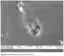 Fig. 06 - Elastomeric articles, compositions, and methods for their production