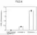 Fig. 07 - Method for treating surface of resin material layer and resin material