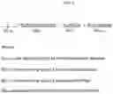 Fig. 02 - High Density Thermoplastic Compounding Process and Material for Mining Applications