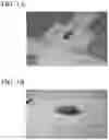 Fig. 02 - MOISTURE BARRIER MATERIAL