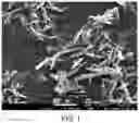 Fig. 02 - Calcium carbonate lost circulation material morphologies for use in subterranean formation operations