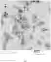 Fig. 02 - Method for synthesizing core shell nanocrystals at high temperatures