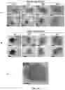 Fig. 15 - Mesofluidic device for culture of cell aggregates