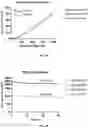 Fig. 09 - Micropatterned hydrogel for cell cultures
