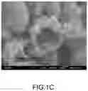 Fig. 03 - Composite shell particle, biological material, and method of manufacturing composite shell particle