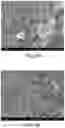 Fig. 05 - Composite shell particle, biological material, and method of manufacturing composite shell particle