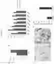 Fig. 02 - Culture Method for Organoids