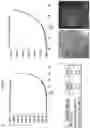 Fig. 04 - Culture Method for Organoids