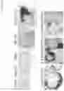 Fig. 10 - Culture Method for Organoids