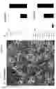 Fig. 11 - Culture Method for Organoids