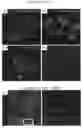 Fig. 17 - Culture Method for Organoids