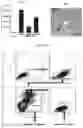 Fig. 20 - Culture Method for Organoids