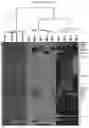 Fig. 28 - Culture Method for Organoids