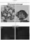 Fig. 29 - Culture Method for Organoids