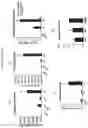Fig. 30 - Culture Method for Organoids