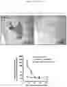 Fig. 31 - Culture Method for Organoids