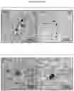 Fig. 33 - Culture Method for Organoids