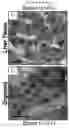 Fig. 37 - Culture Method for Organoids