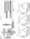 Fig. 02 - In vitro methods of differentiating stem cells into neurons and neurons generated using the same